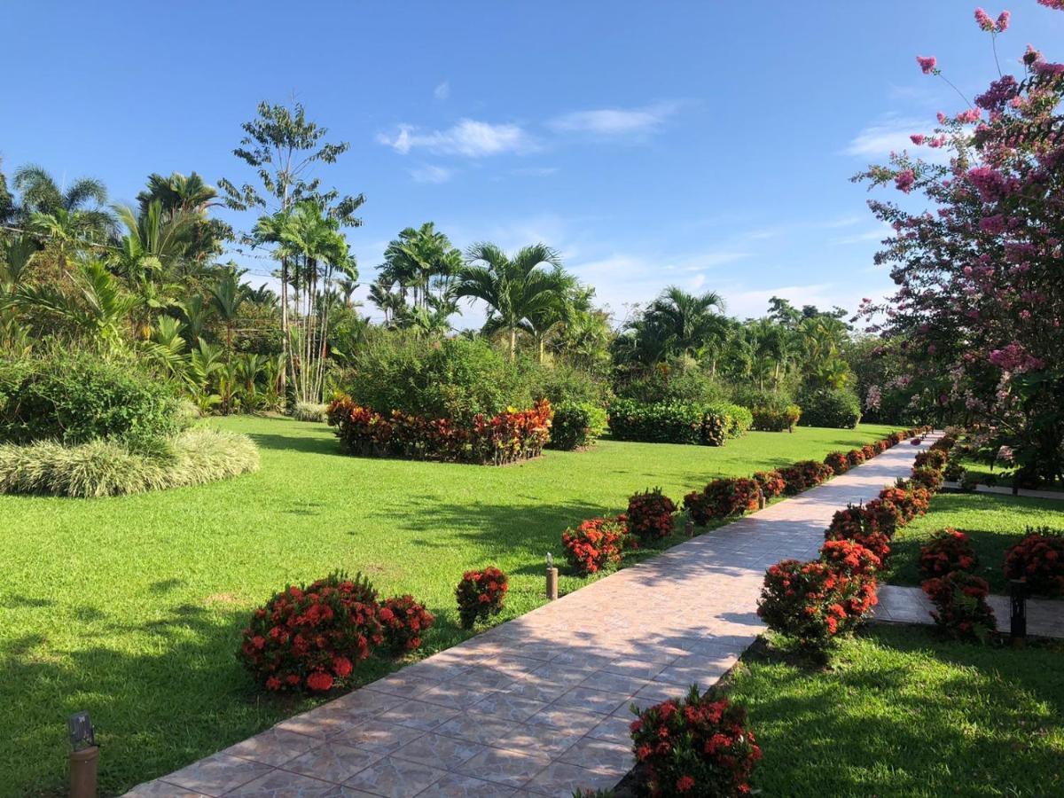 Hotel Villas Vilma La Fortuna Zewnętrze zdjęcie