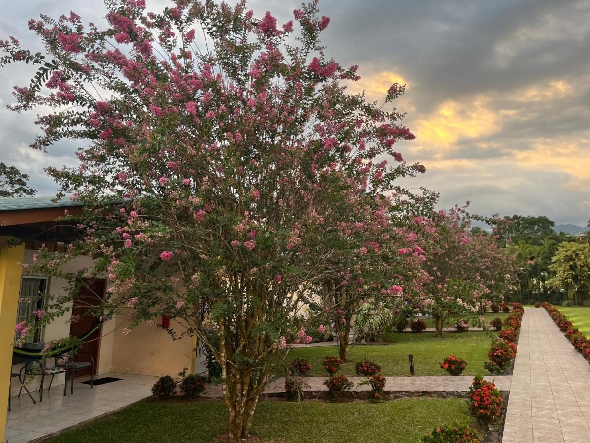 Hotel Villas Vilma La Fortuna Zewnętrze zdjęcie