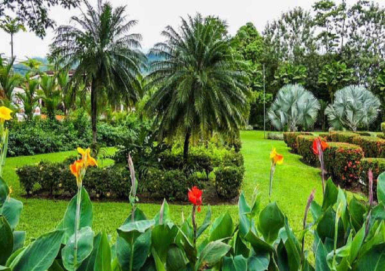 Hotel Villas Vilma La Fortuna Zewnętrze zdjęcie